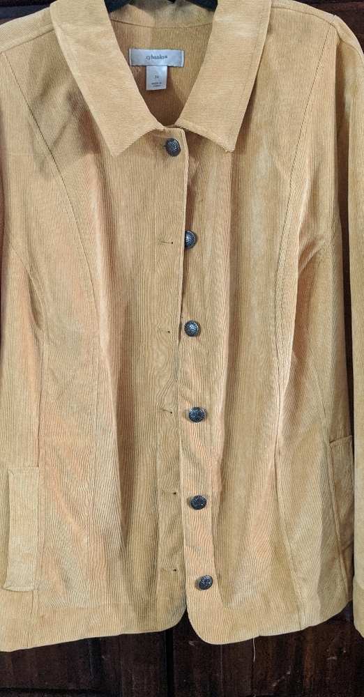 Button up blazer